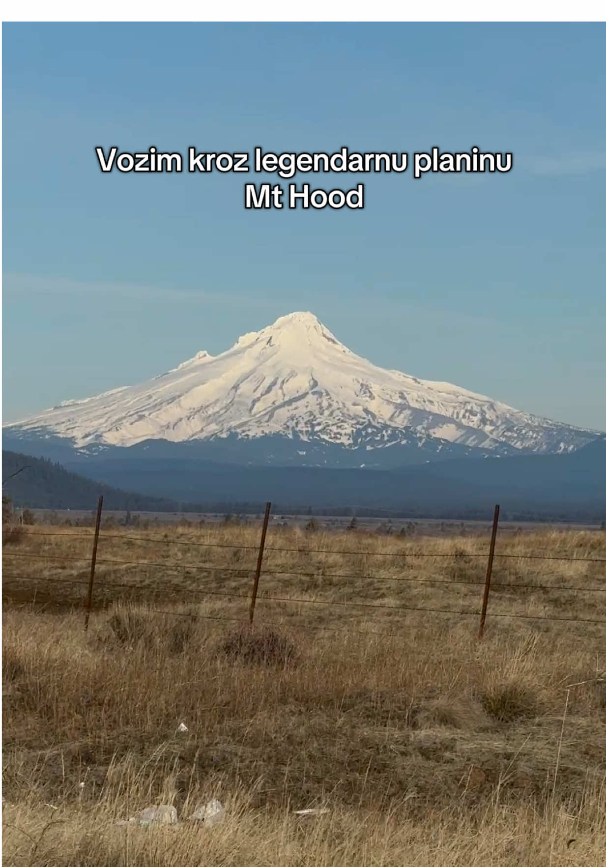 @Vedad