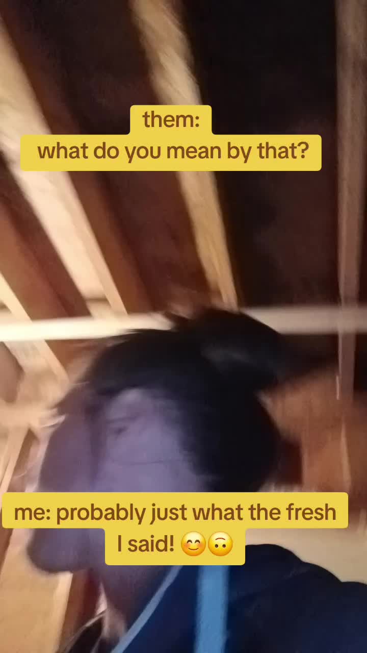 @Nicole