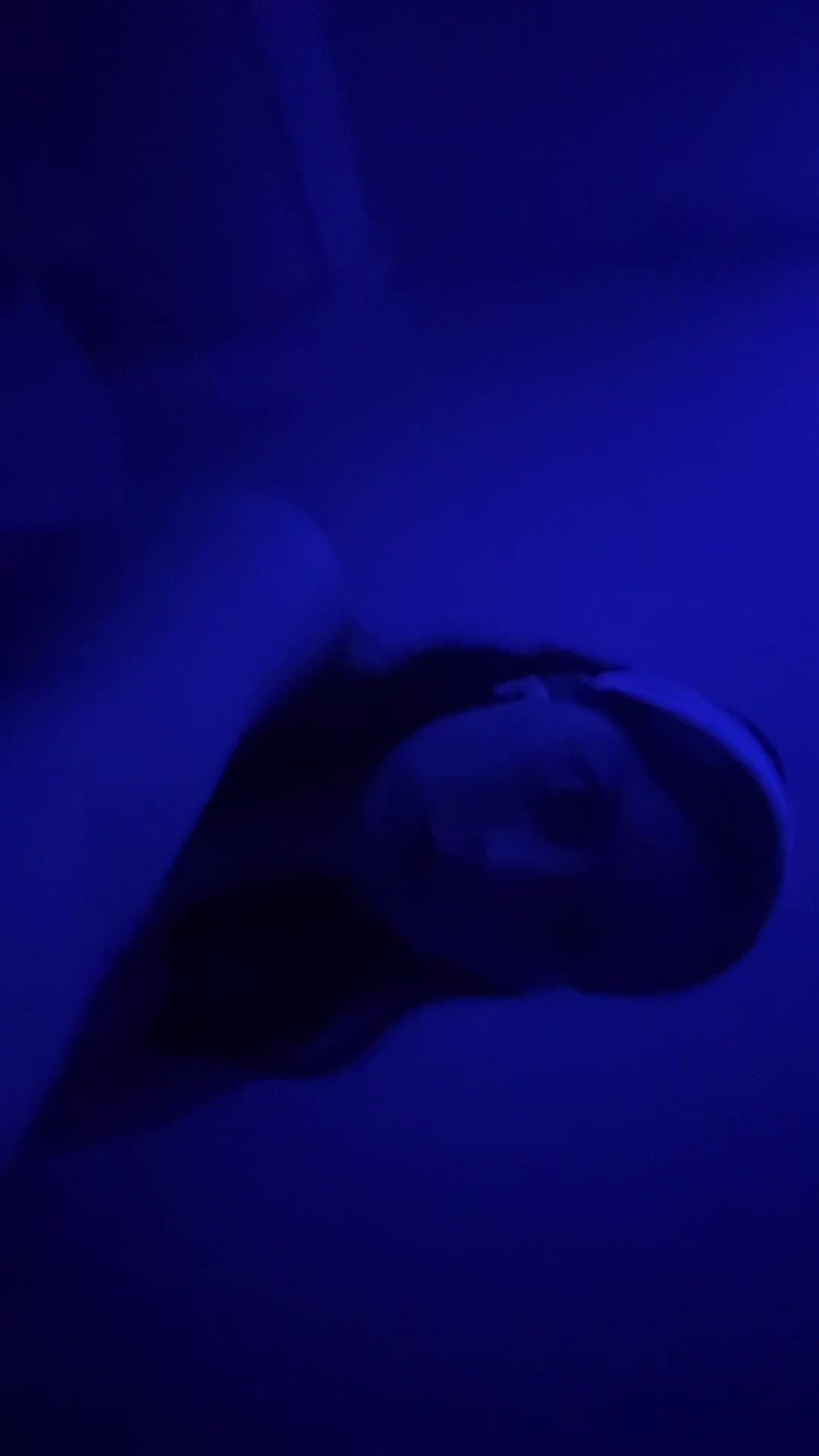 @adorbsmaceyx