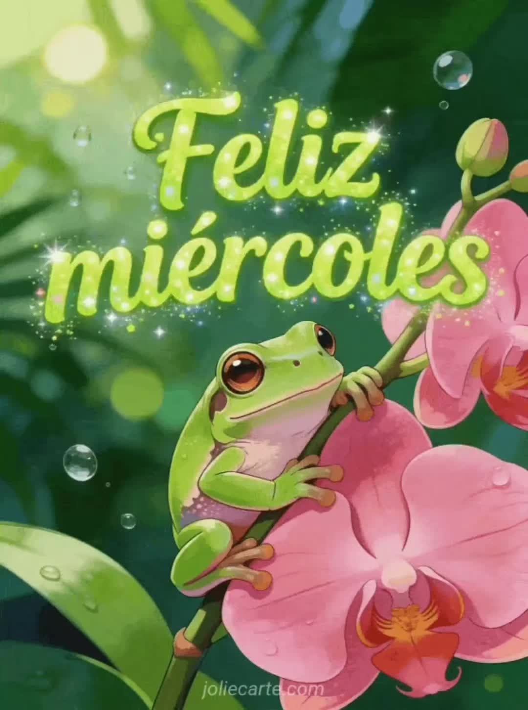 @ems