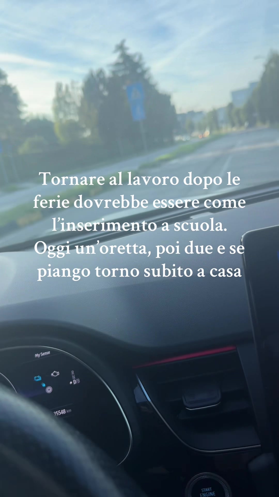 @Manuela Reich