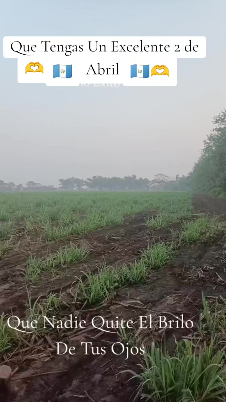 @SOLITO502_🇬🇹