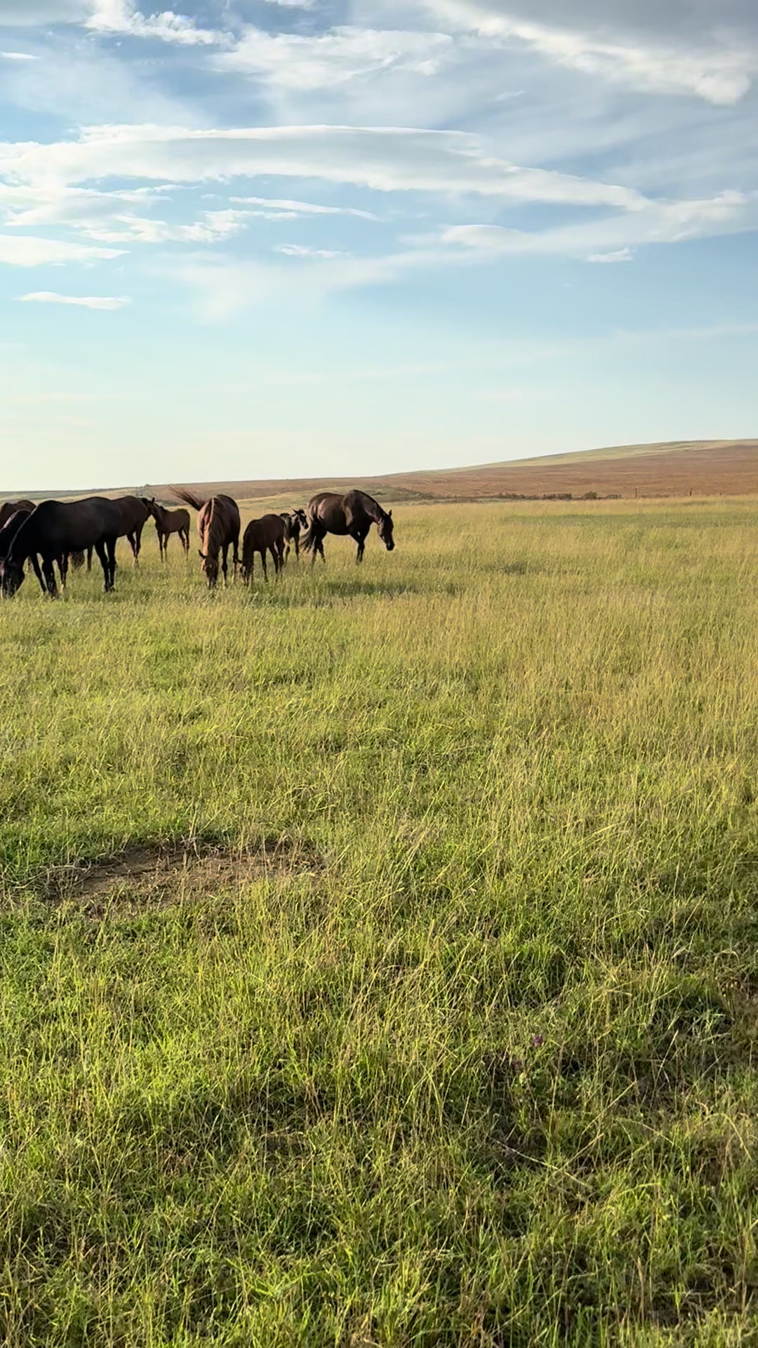 @MakvinStud