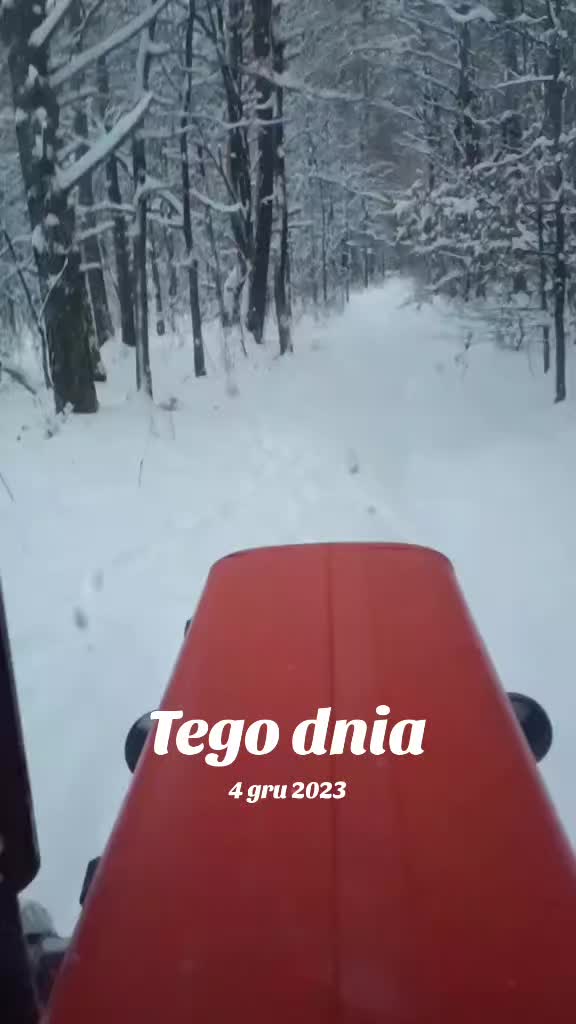 @Surowiec304