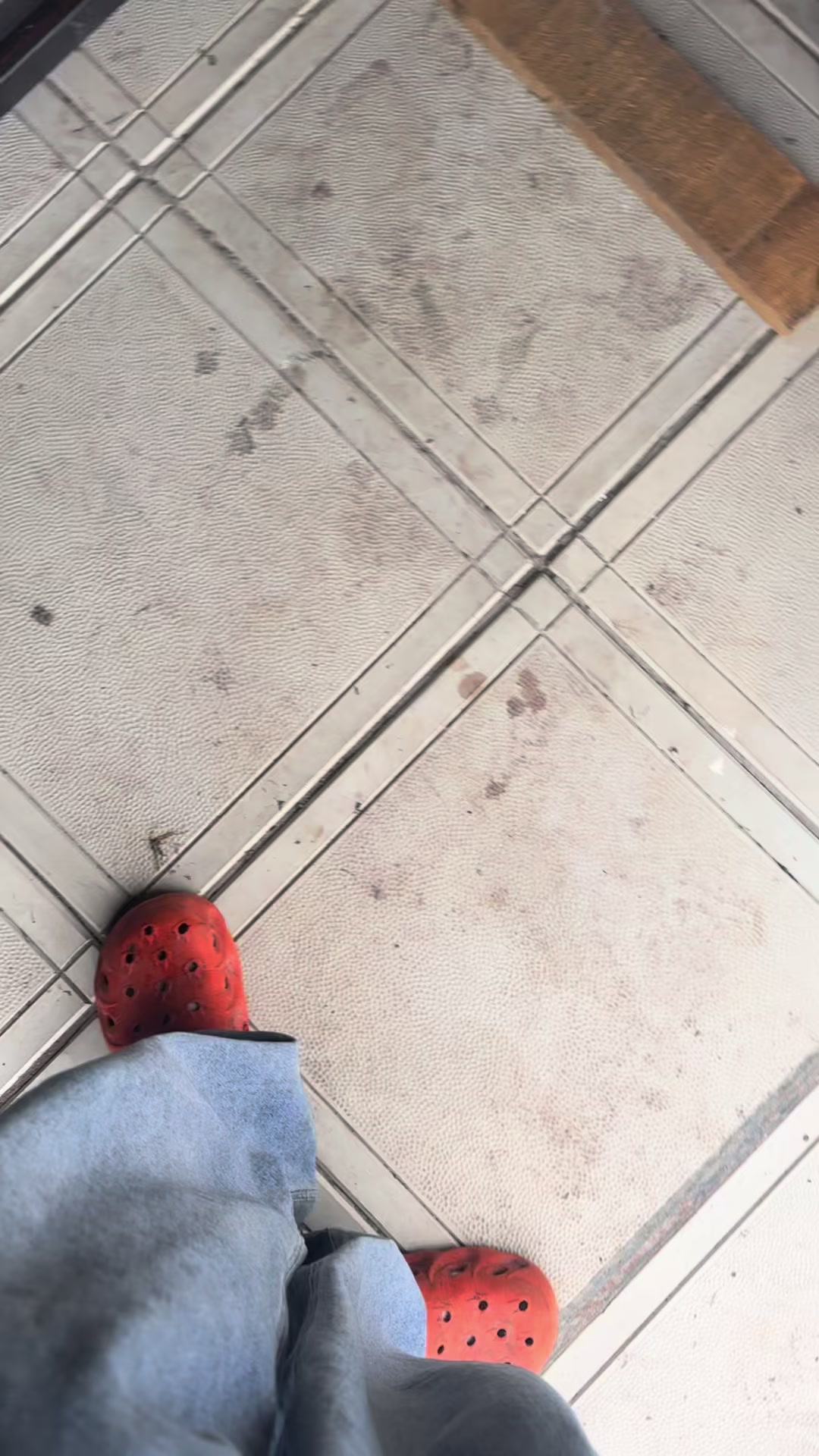 @welsovod🗽