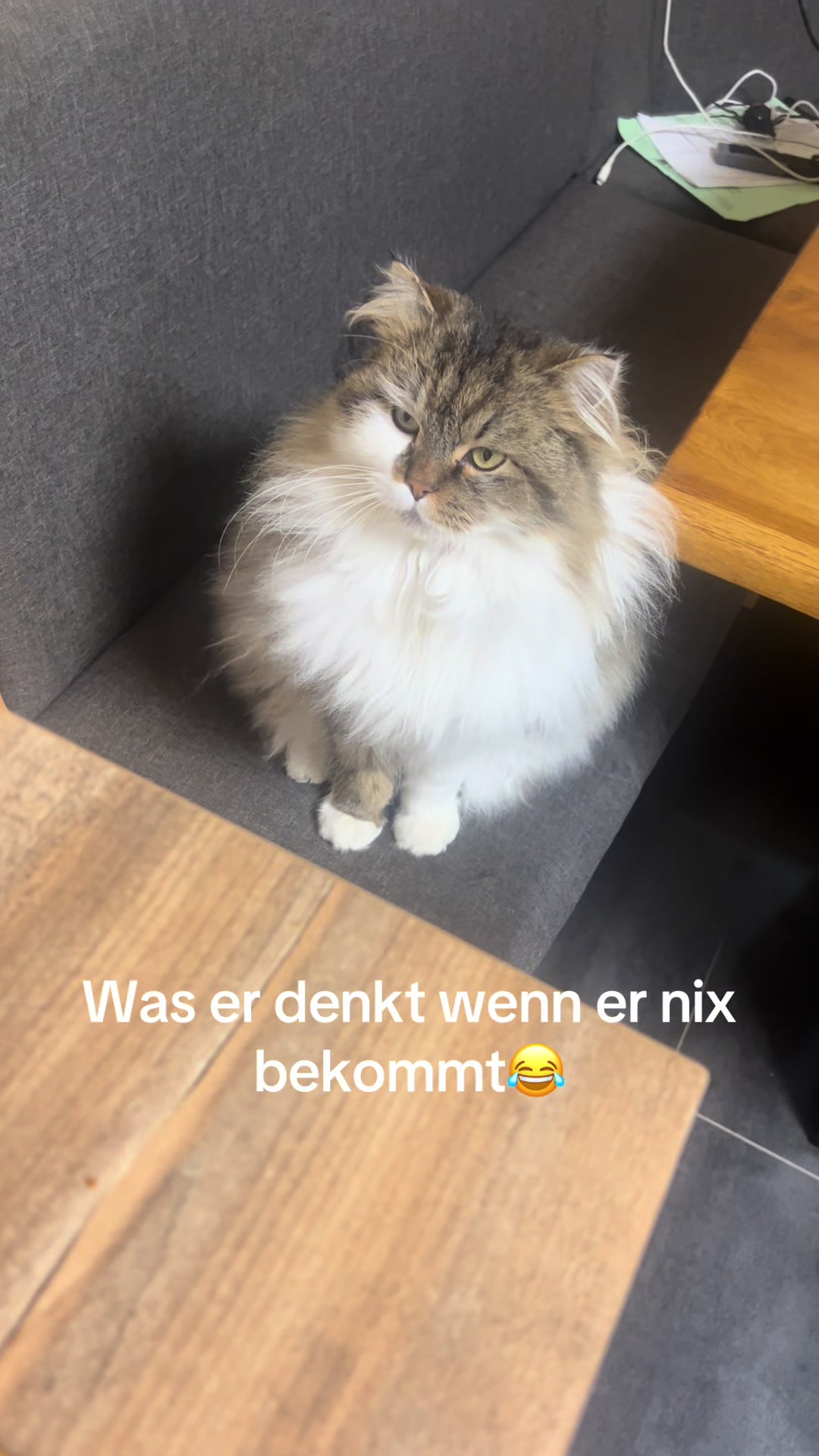 @๐ผ๐๐๐๐๐๐๐๐ค