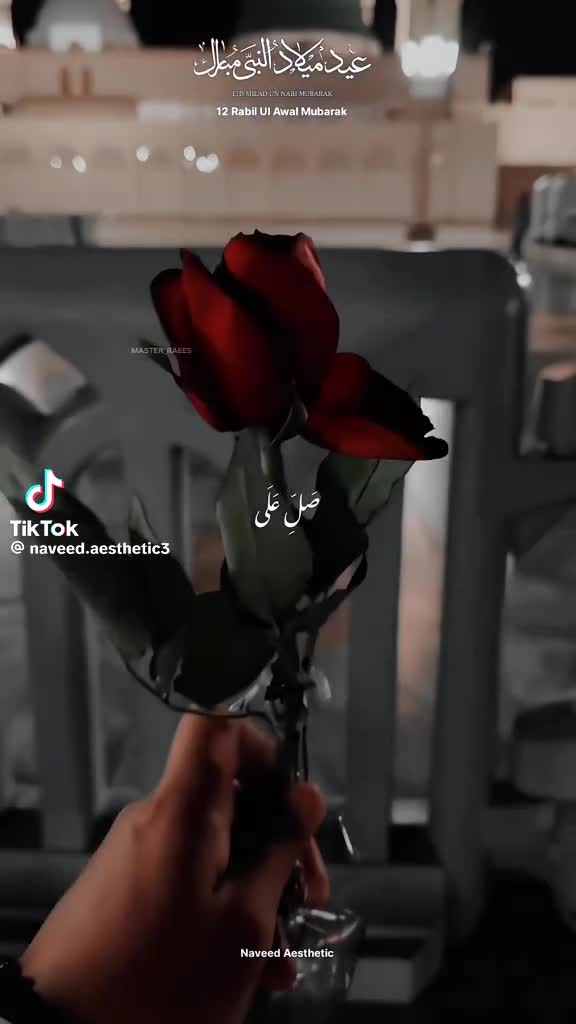 @Ayesha786