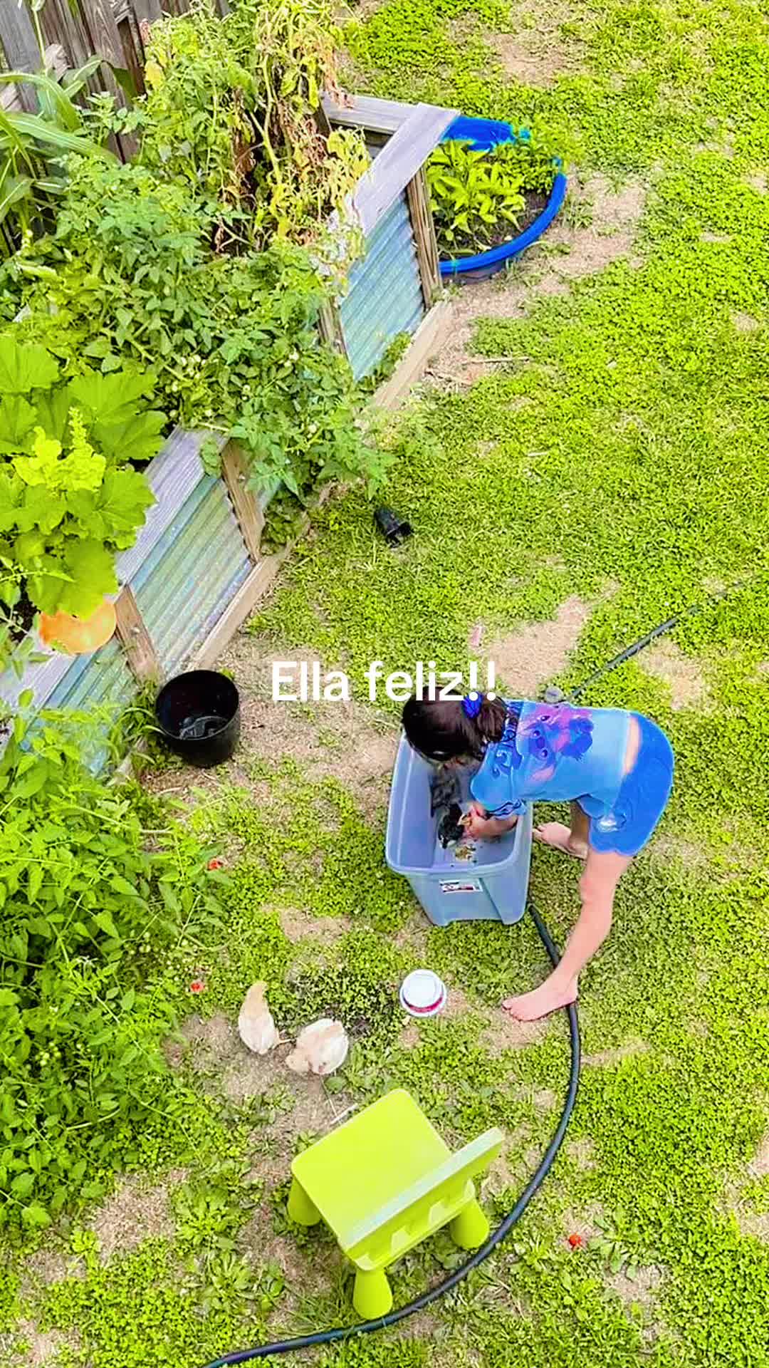 @🍹🌴