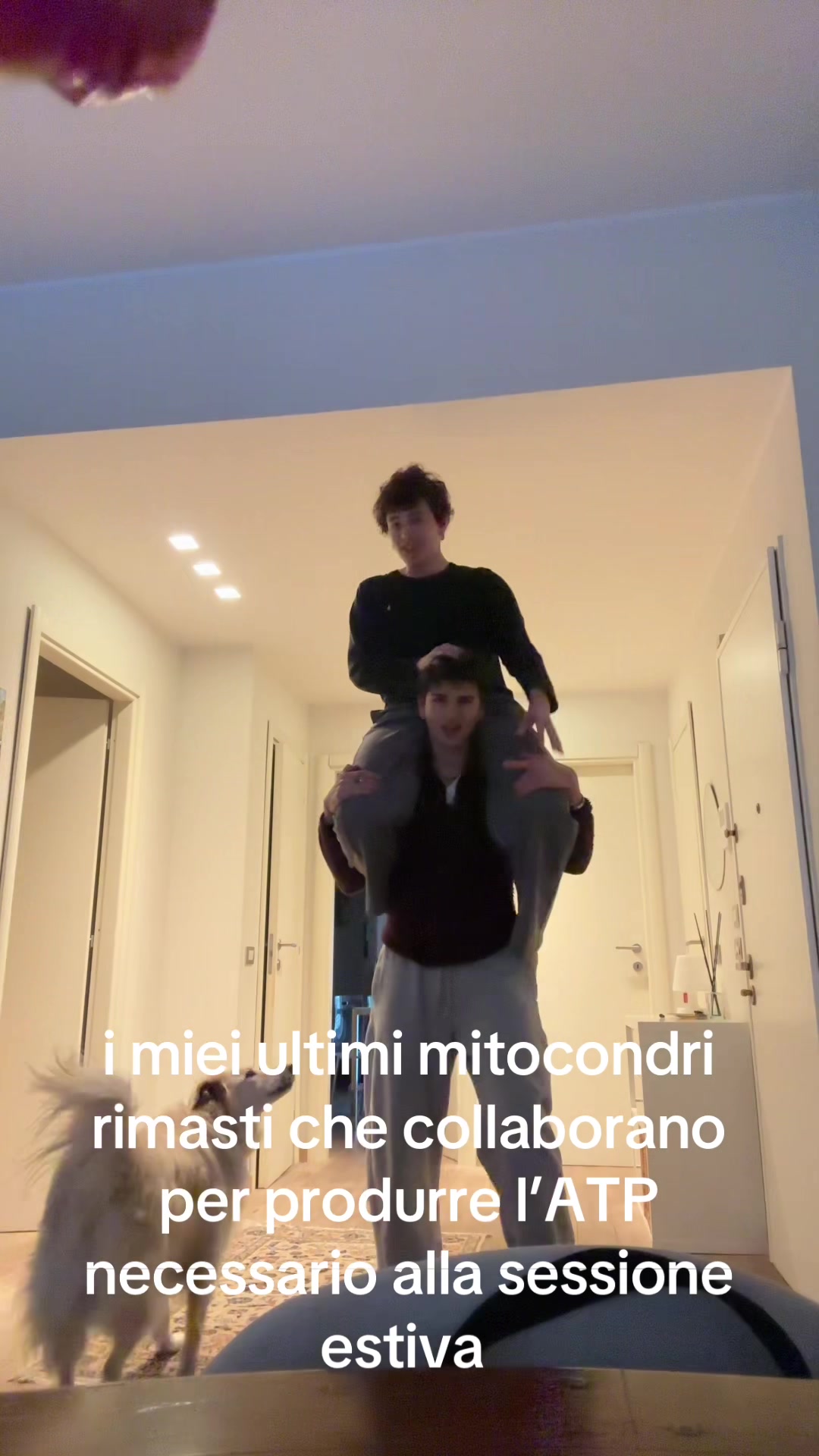 @Alessandro Vairo