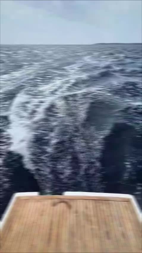 @Suncat Malta Charters ⛵️