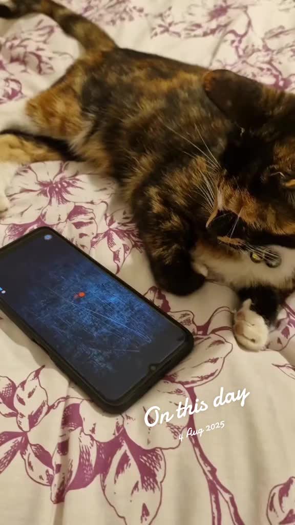@Pari786