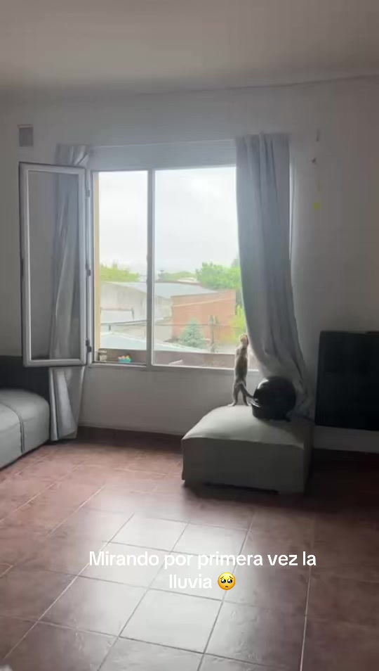 @carovacc