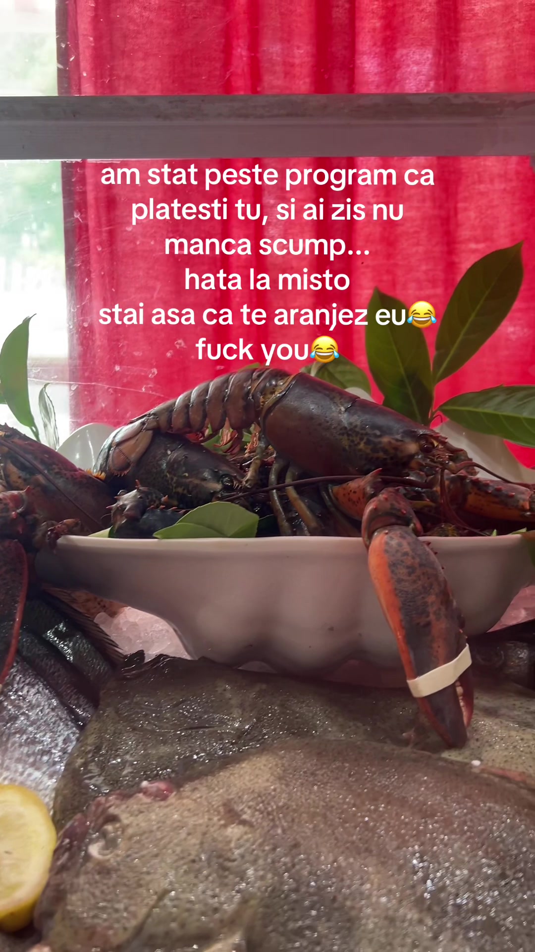 @RobertPredoiu