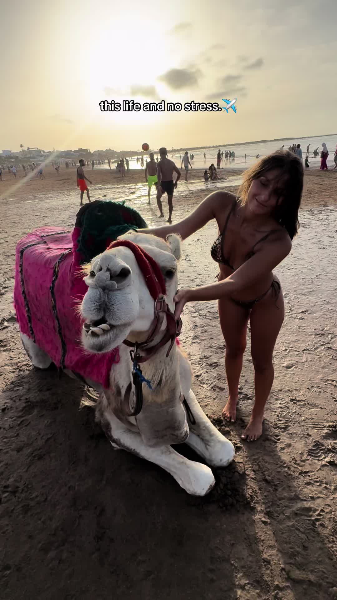 @Alessiavuthi