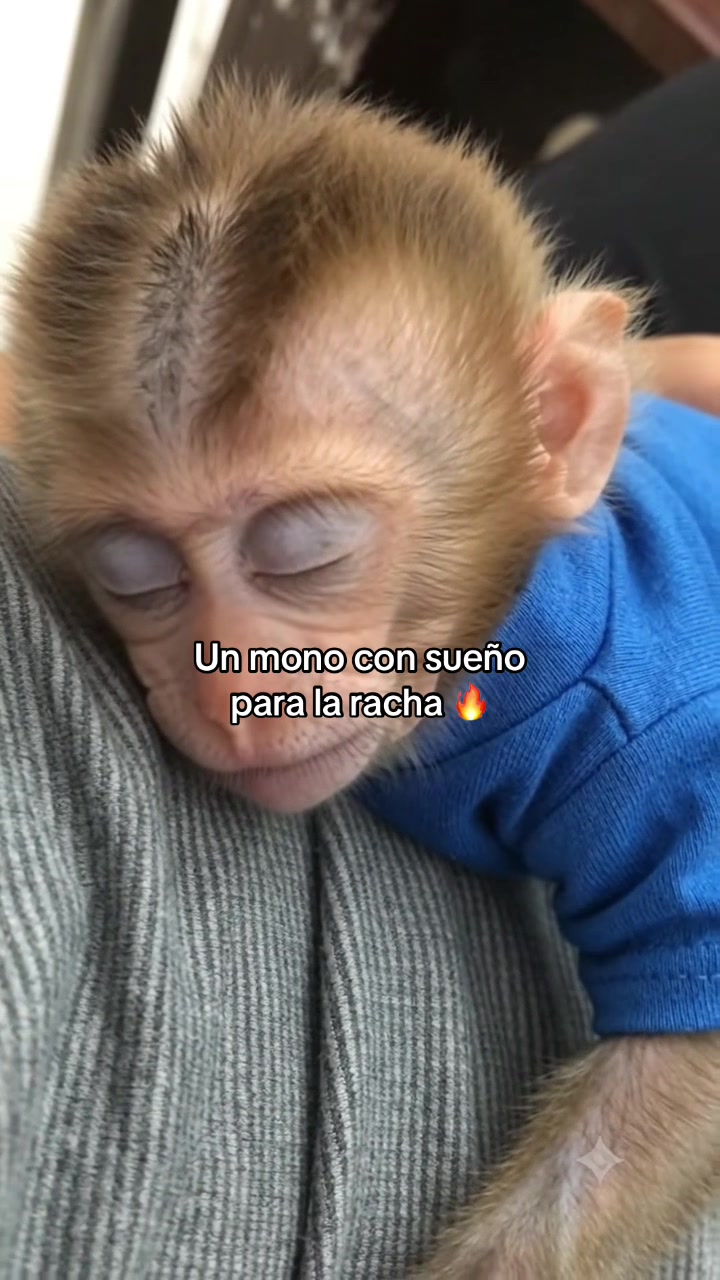 @RabPesito 🔥