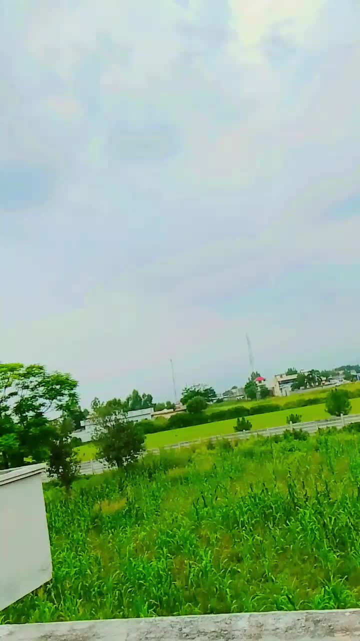 @Usmanshinwari 781