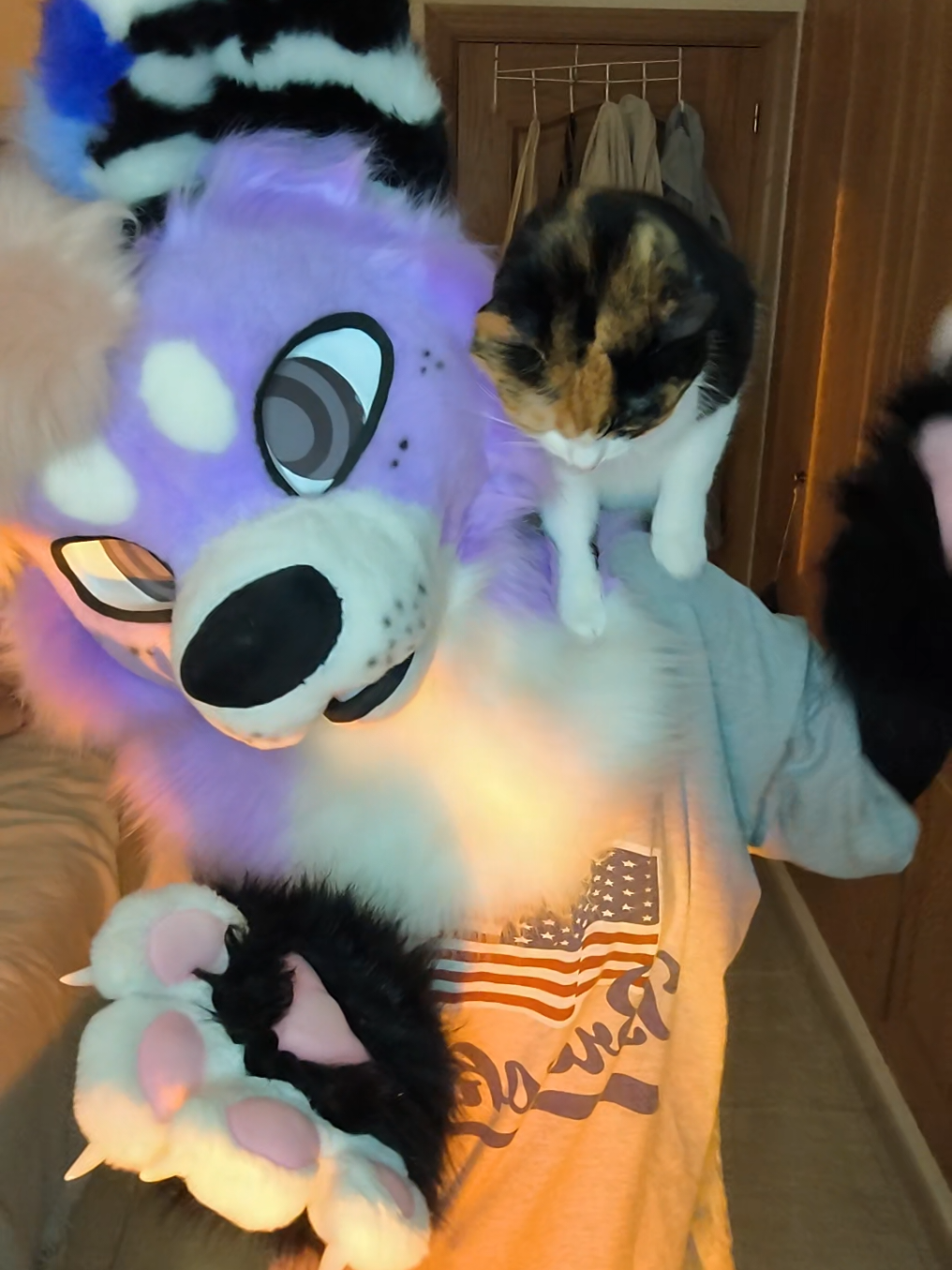 @Kyo_da_Wolf