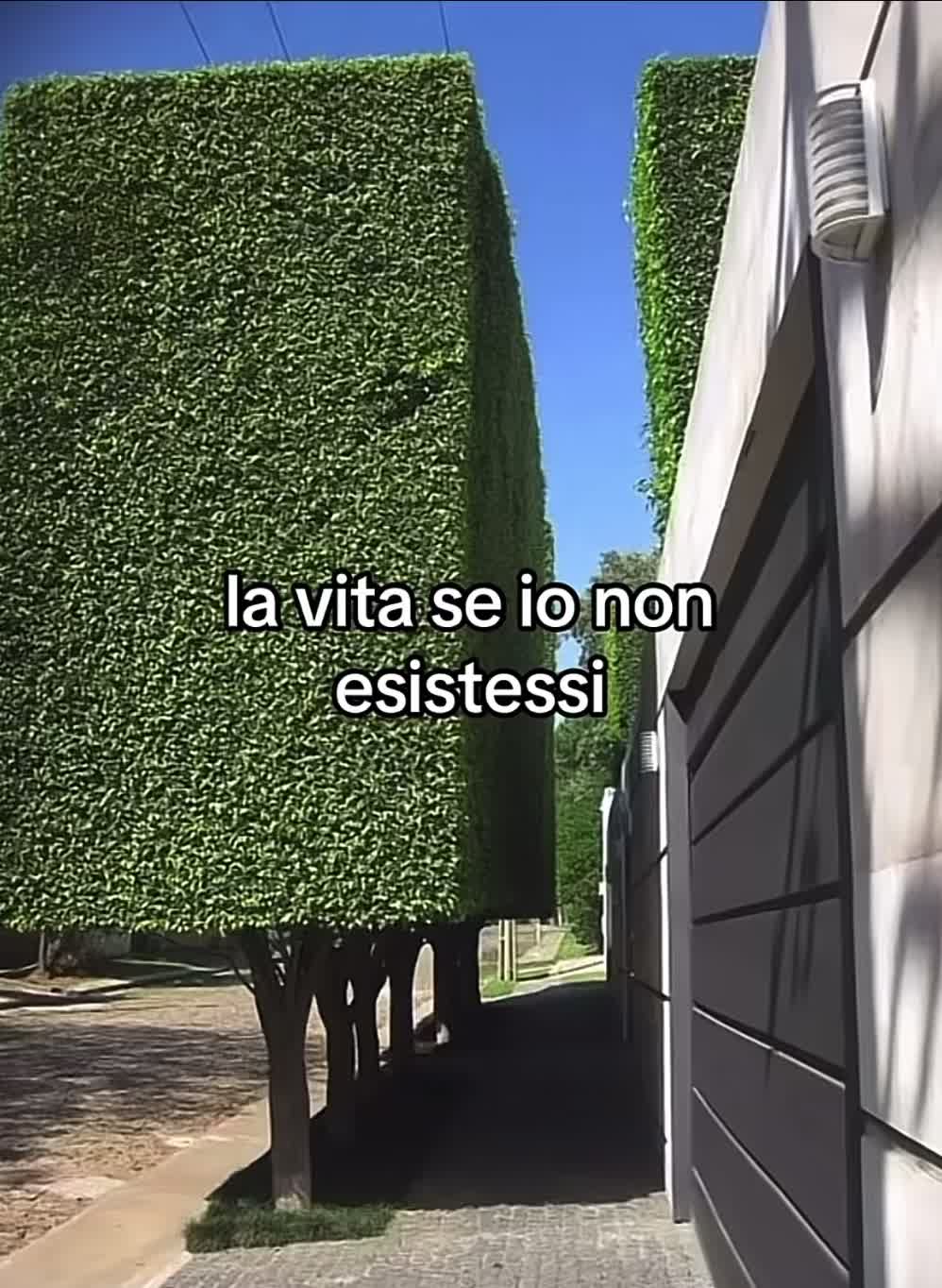 @repostvideo329