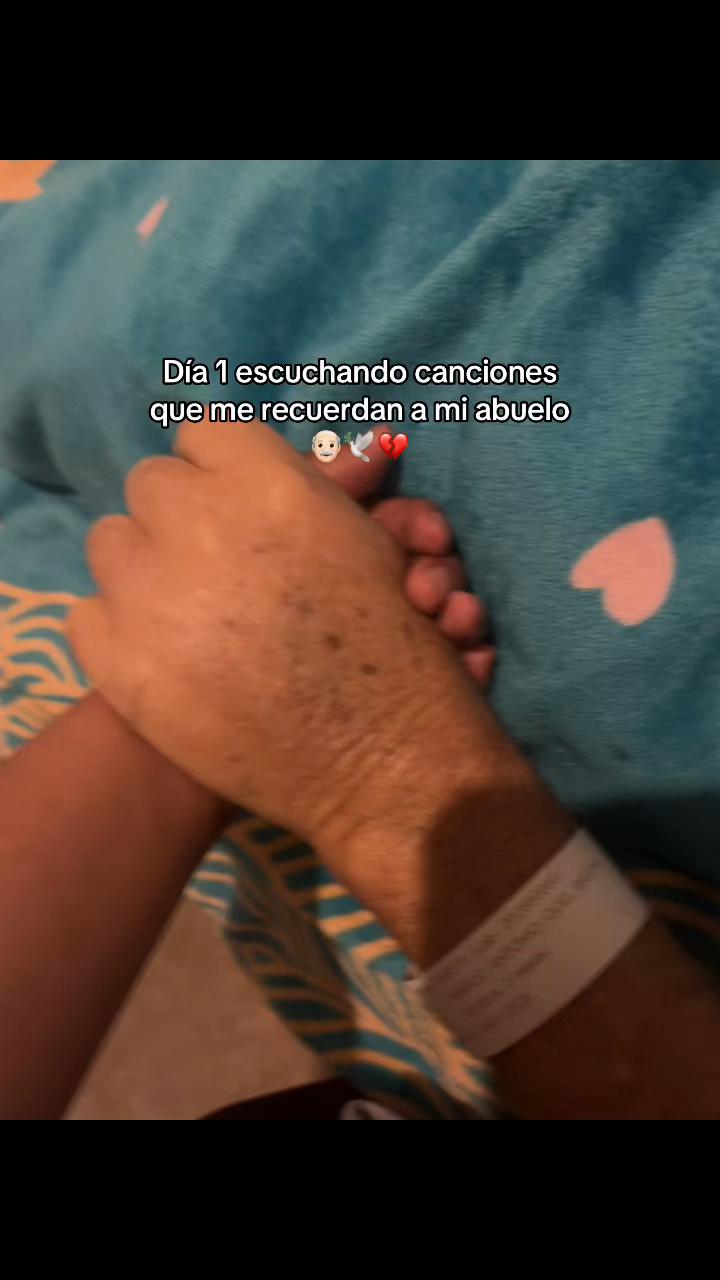 @✨