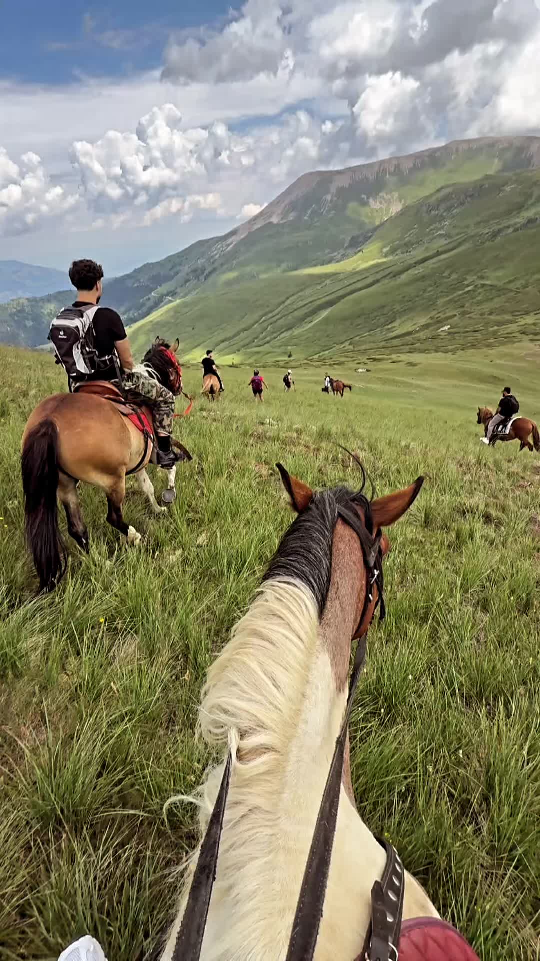 @Lami Jashari