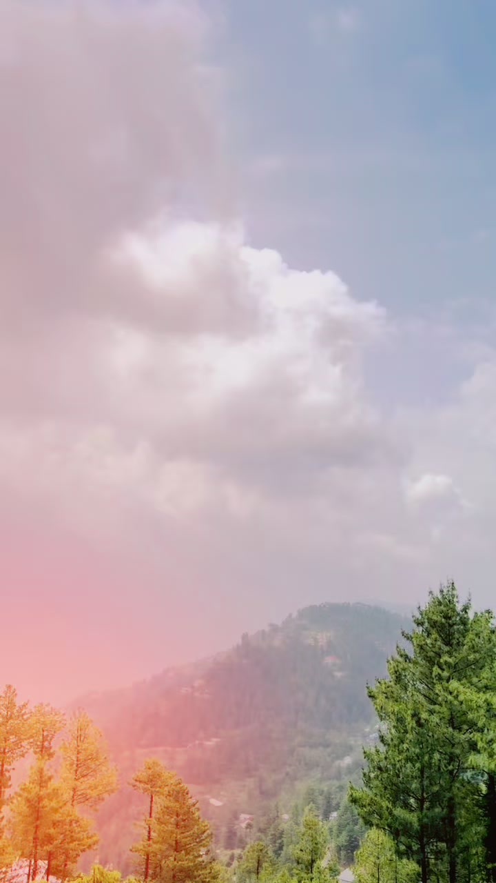 @khizar ali