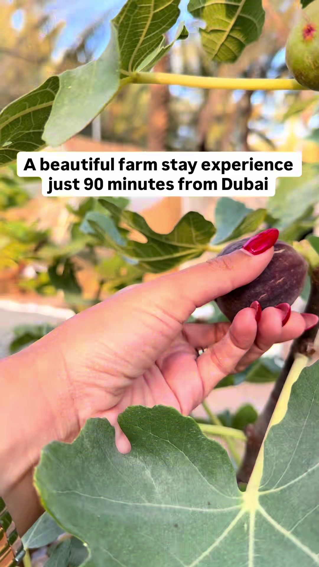 @Time Out Ras Al Khaimah