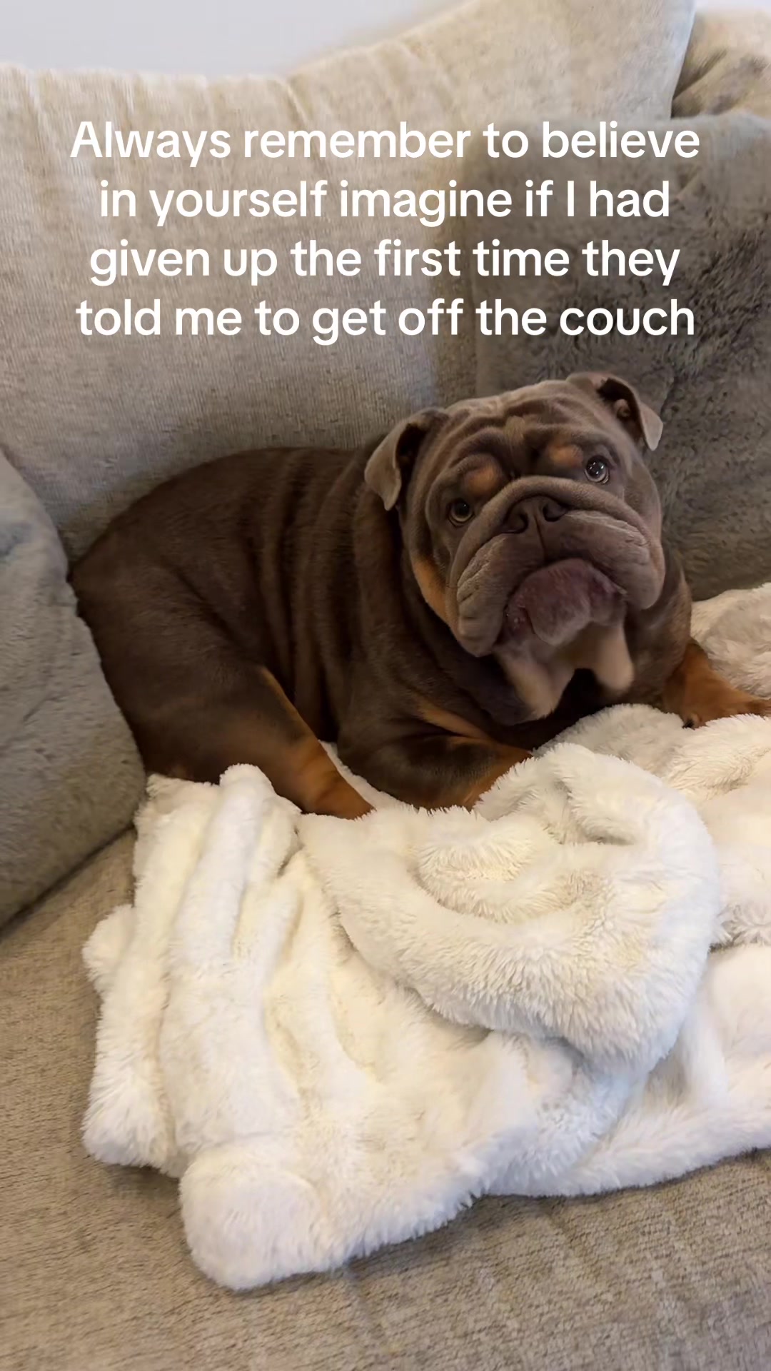 @RawlsTheBulldog