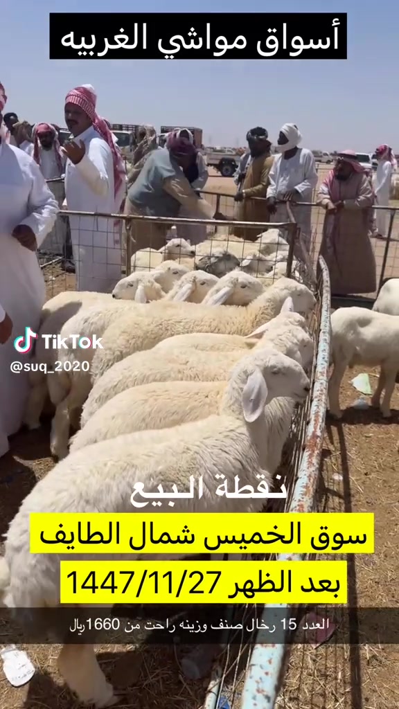@mohamed_ksa0