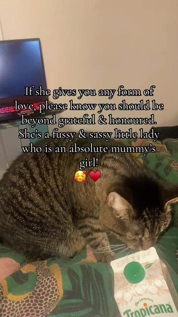 @amethystadhd7