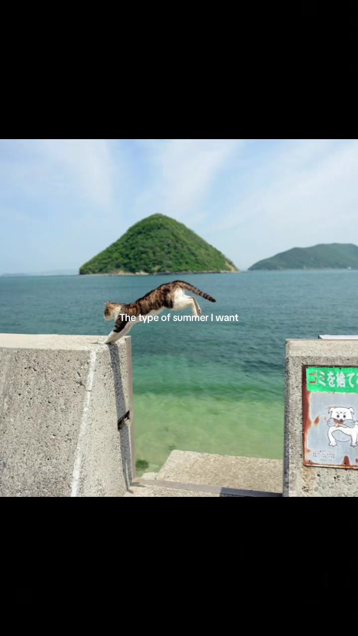 @ʲⁱᵃ(&bull;̀ᴗ&bull;́)و