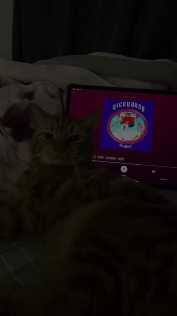 @๐ฅ๐๐๐พ๐ถ๐ถ