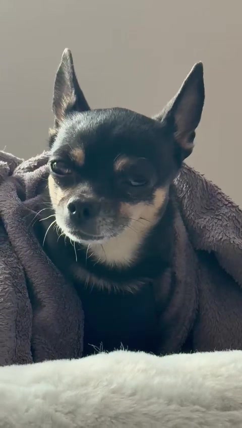 @Sarah 🌦️
