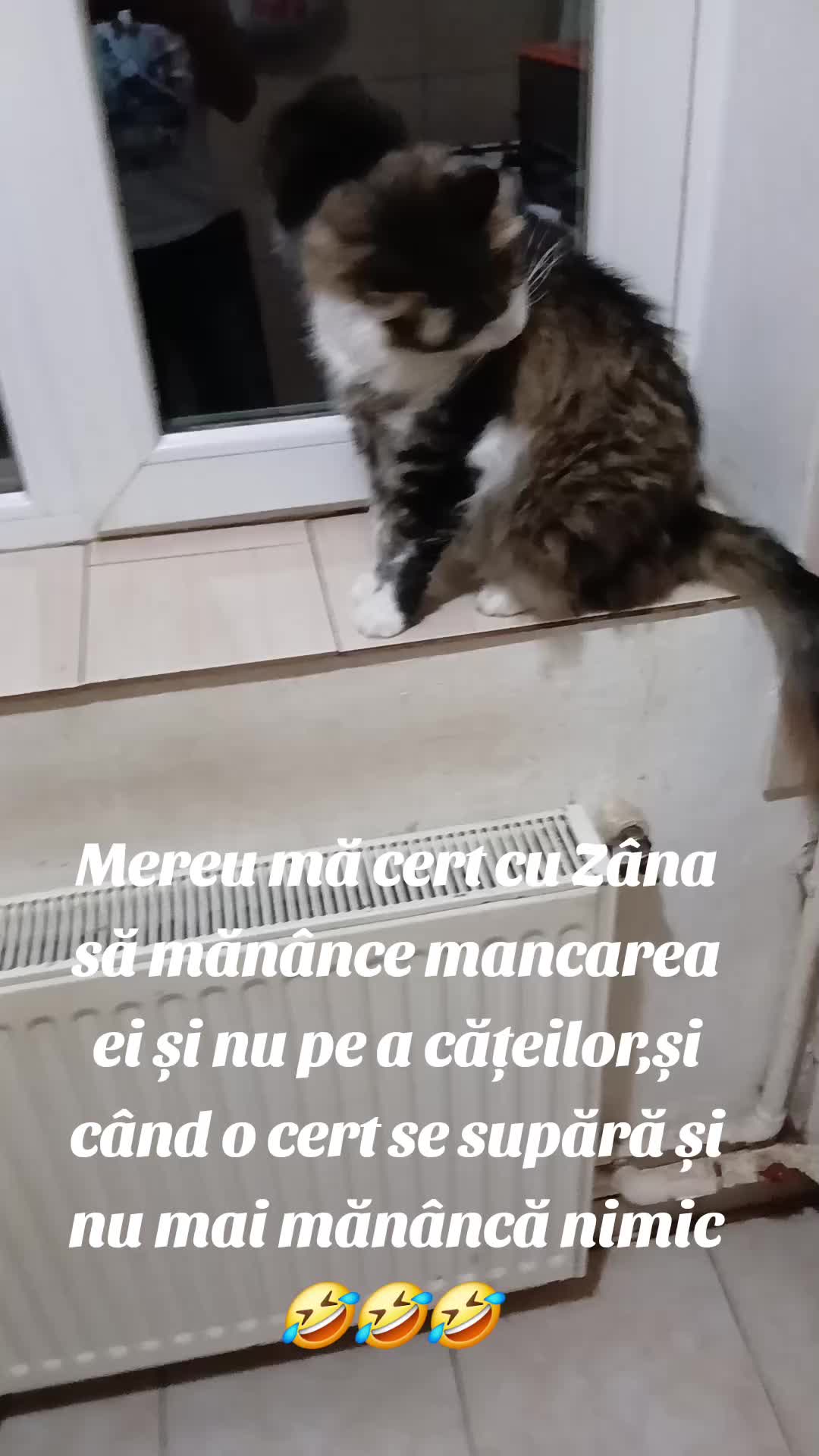 @Catalin Postolache