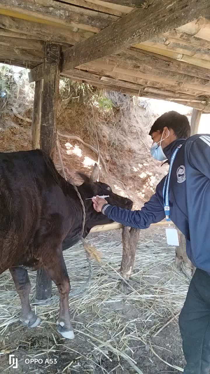 @puskar bhusal