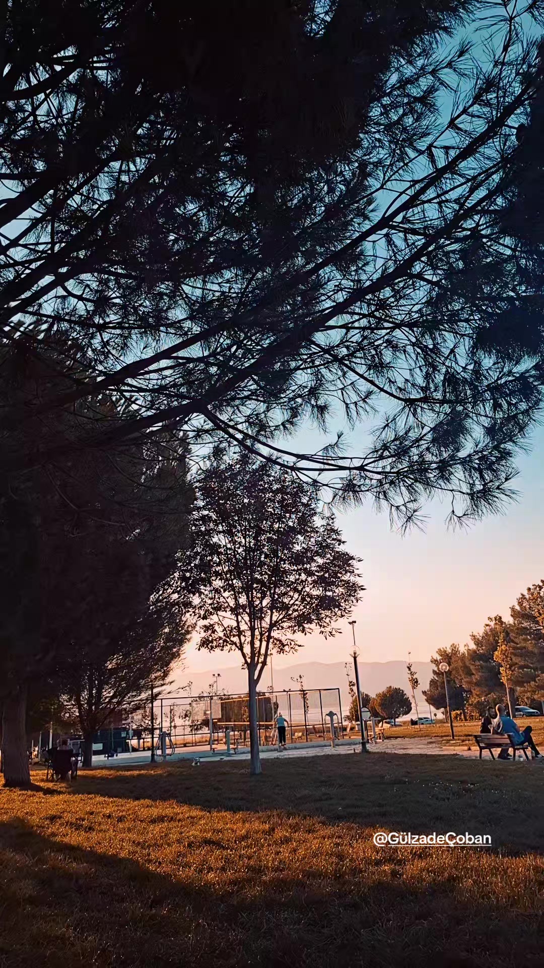 @Yasemin Uyanık