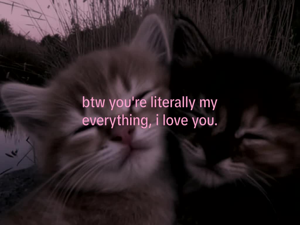 @mond