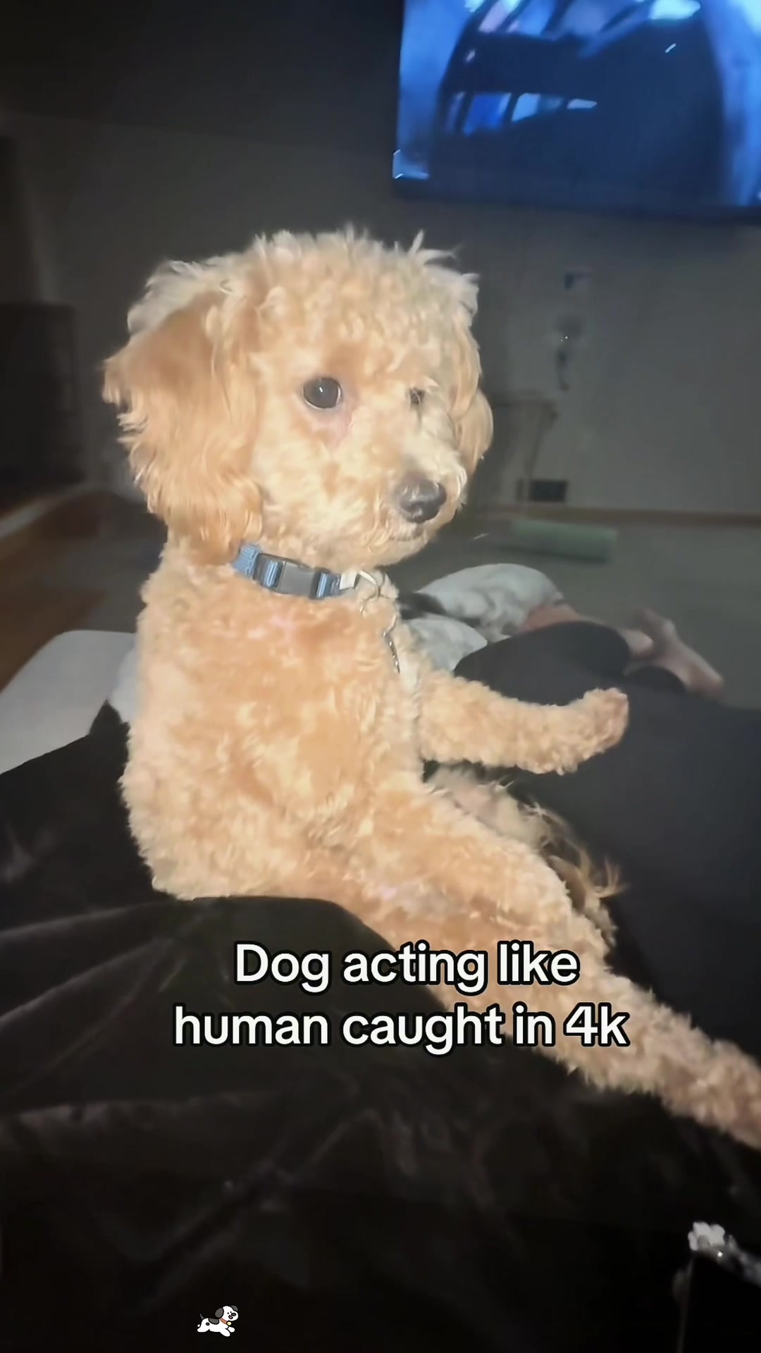 @SneakyFails