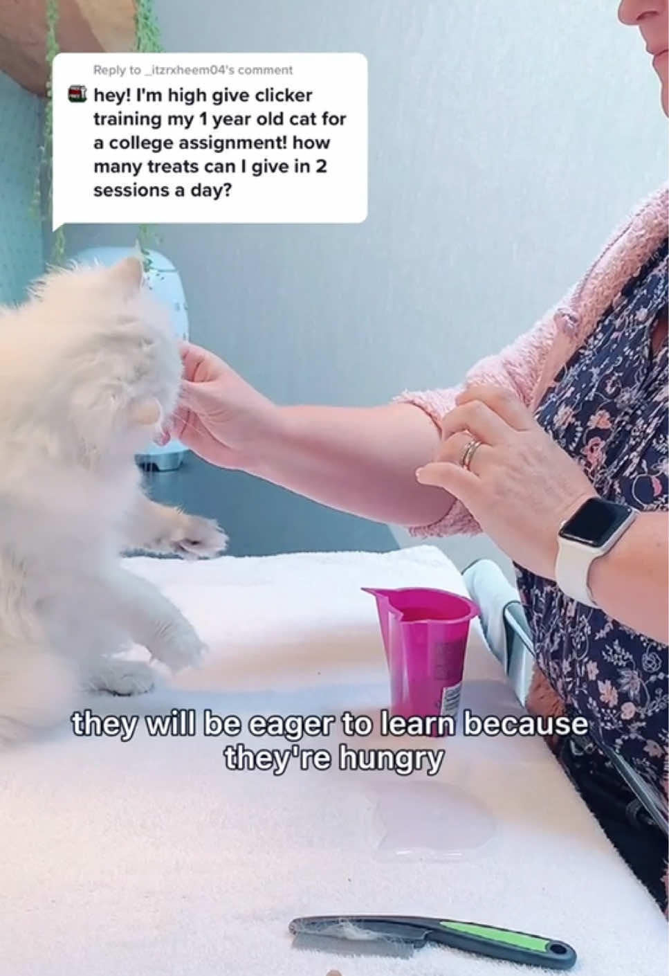 @Dutchkittycat
