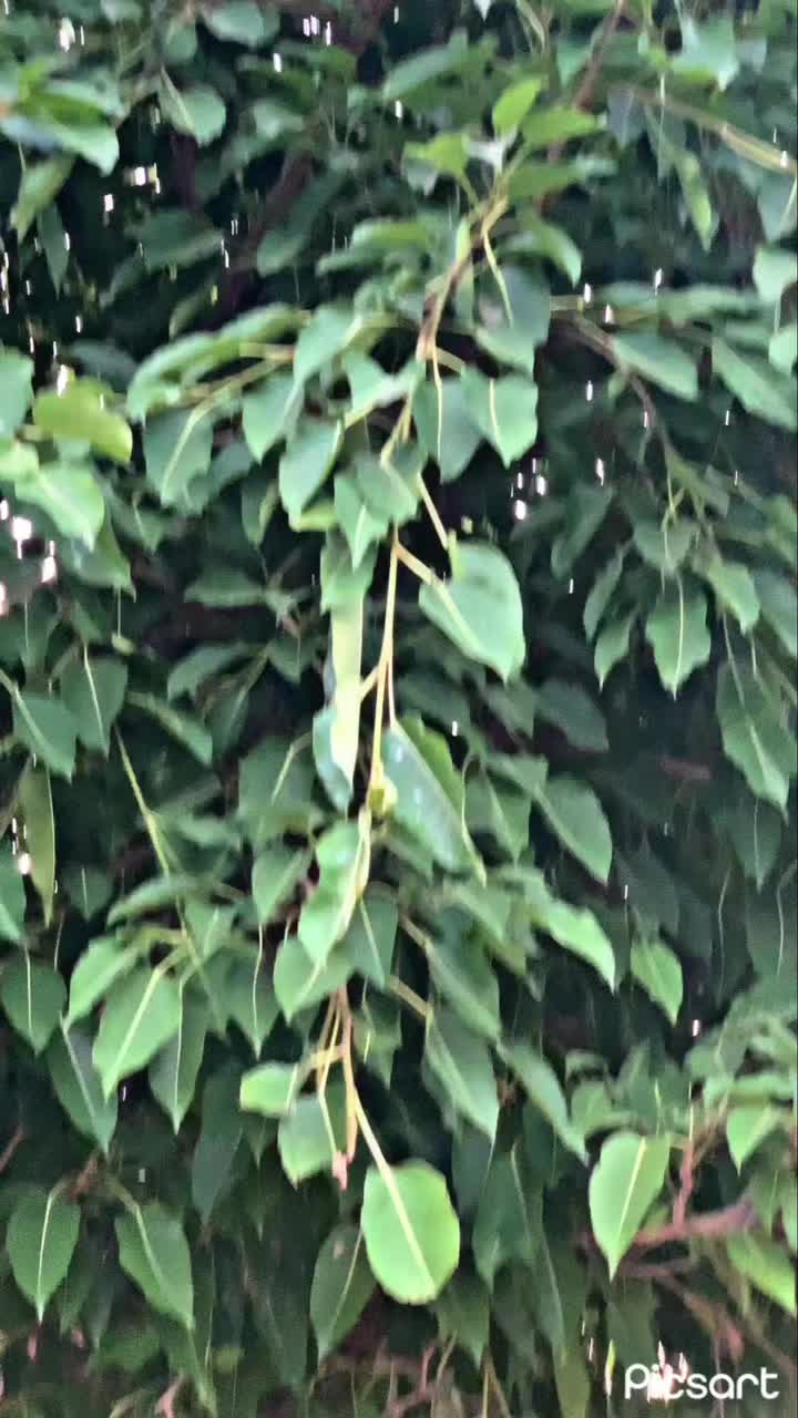 @گاندھی گروپ 🥷🏻🙌🏻