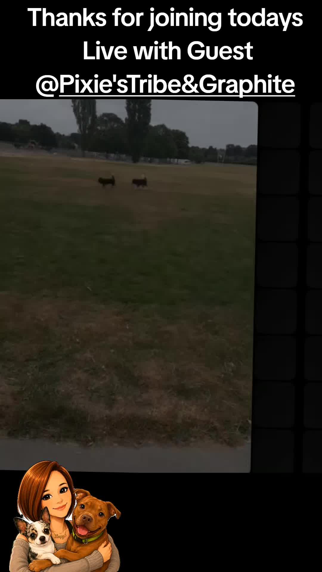 @Bordercollies Anonymous Club