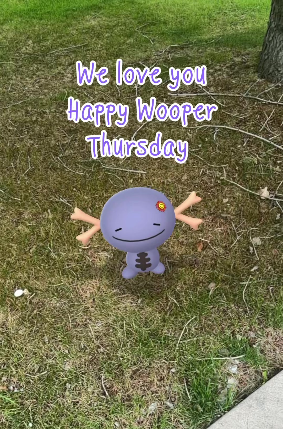 @The Wednesday Wooper