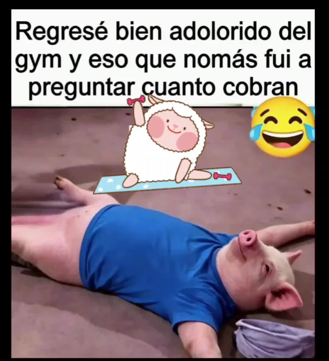 @el panda solitario