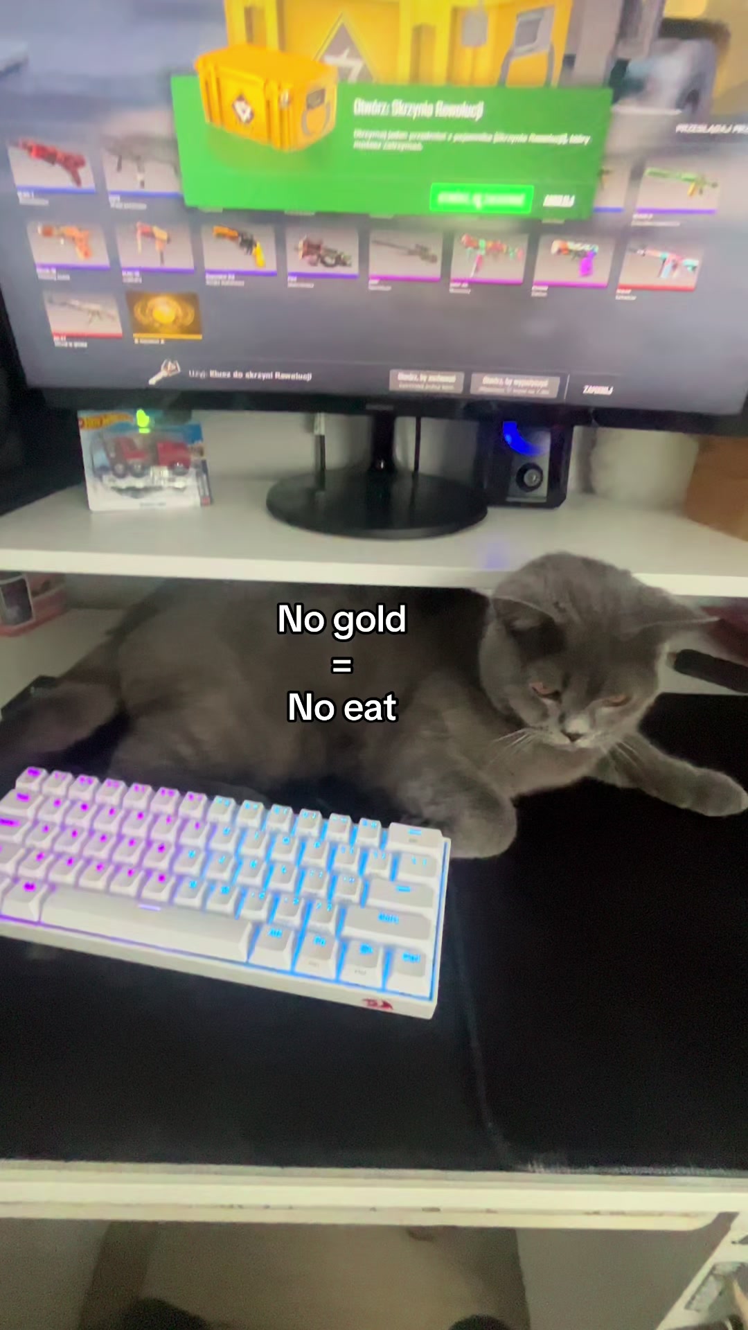 @Grafi🐱