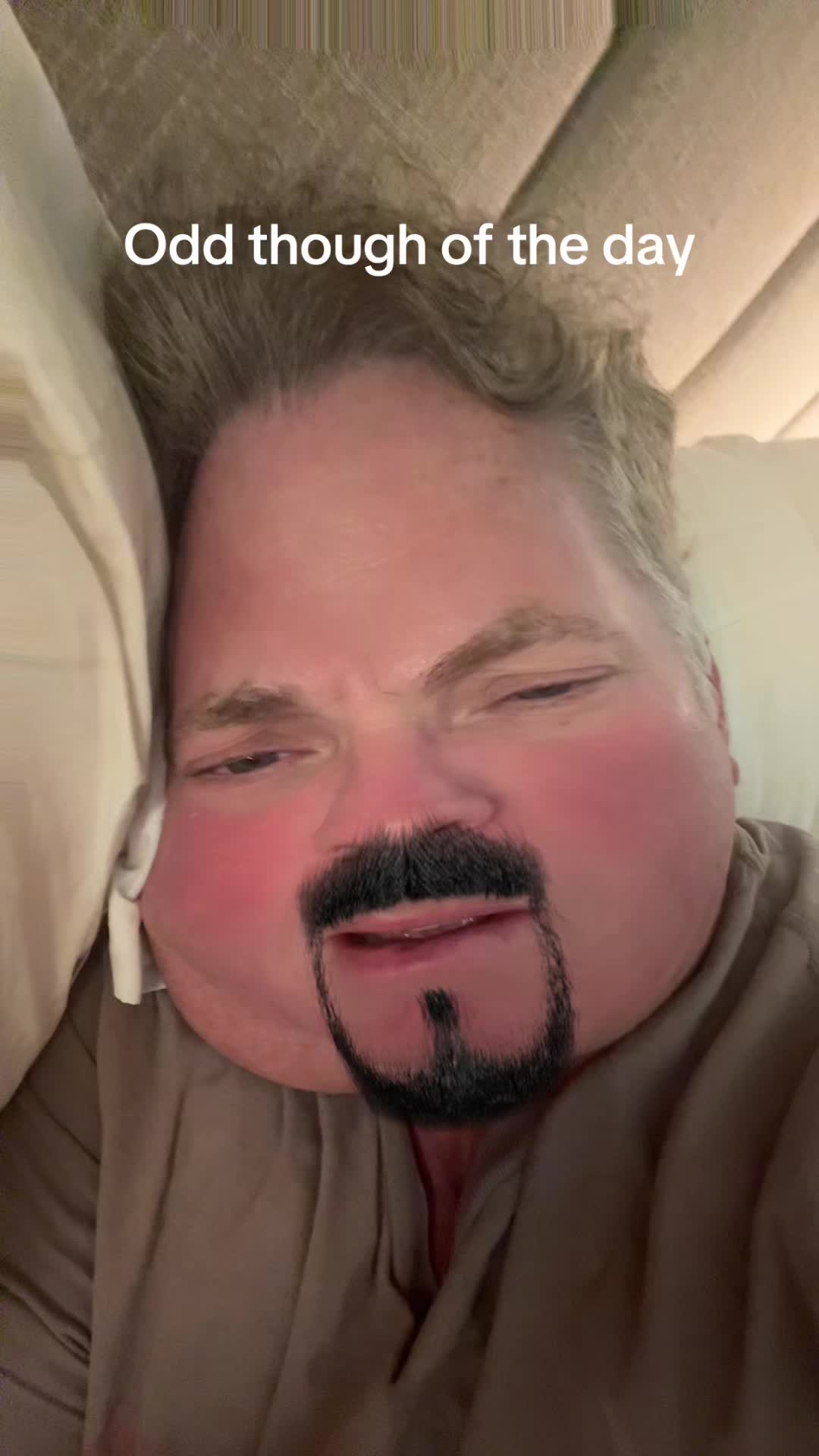 @Mr Morphman