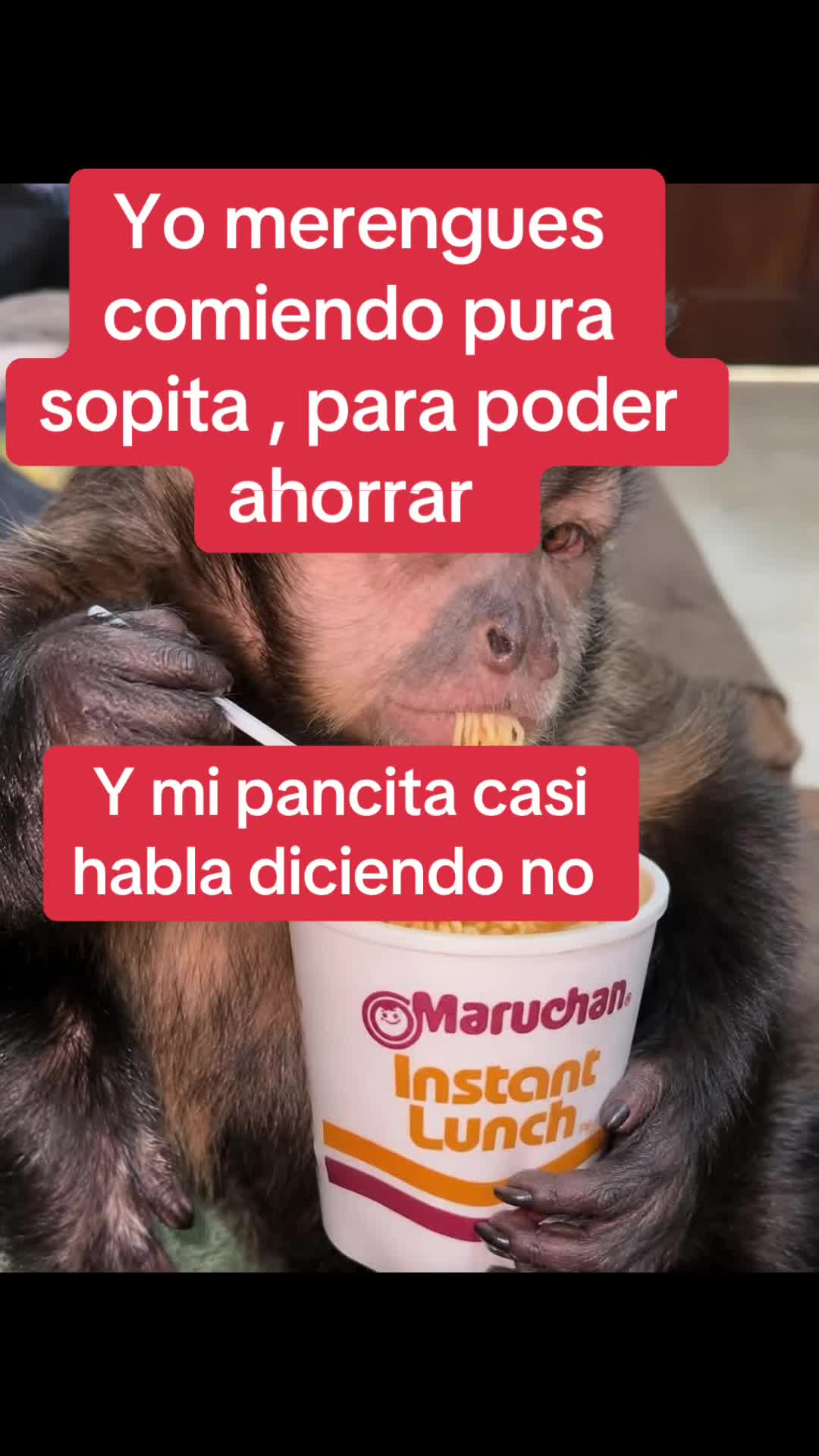 @Gatoflojoloko