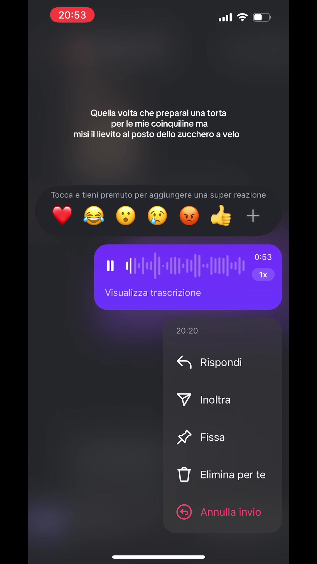 @angelica bozzi