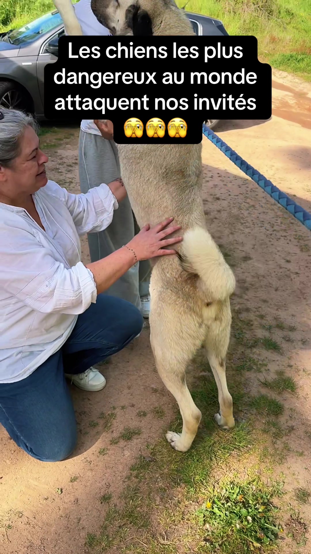 @Purekangal