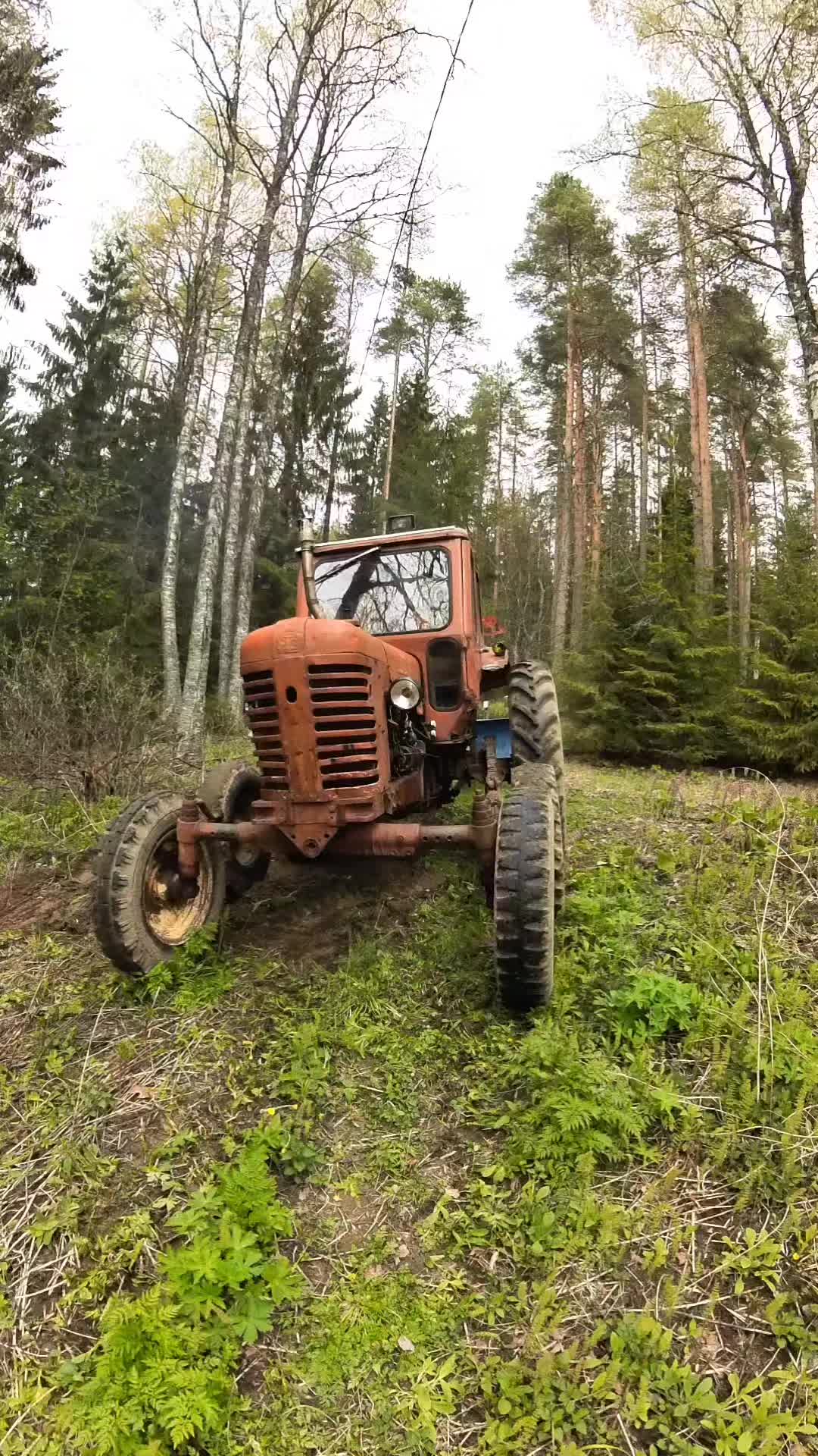 @ForestAndWheels