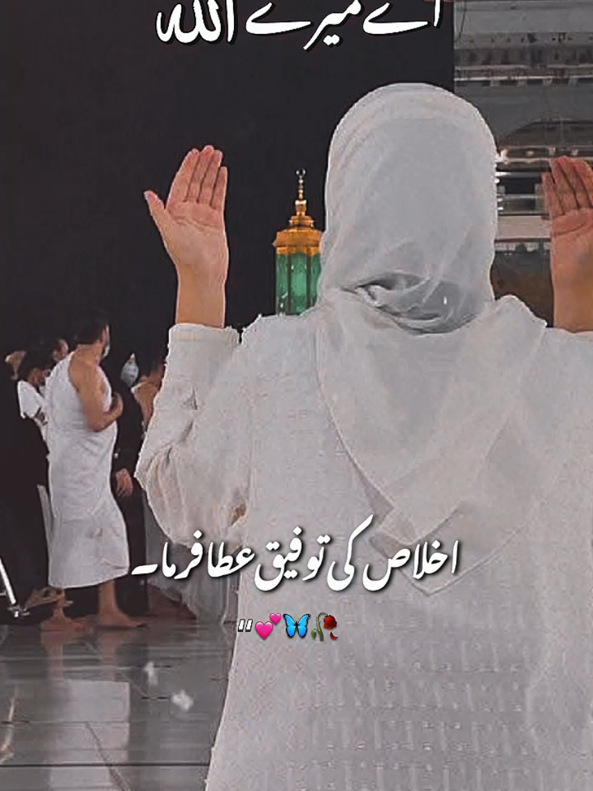 @Allah hu akbar
