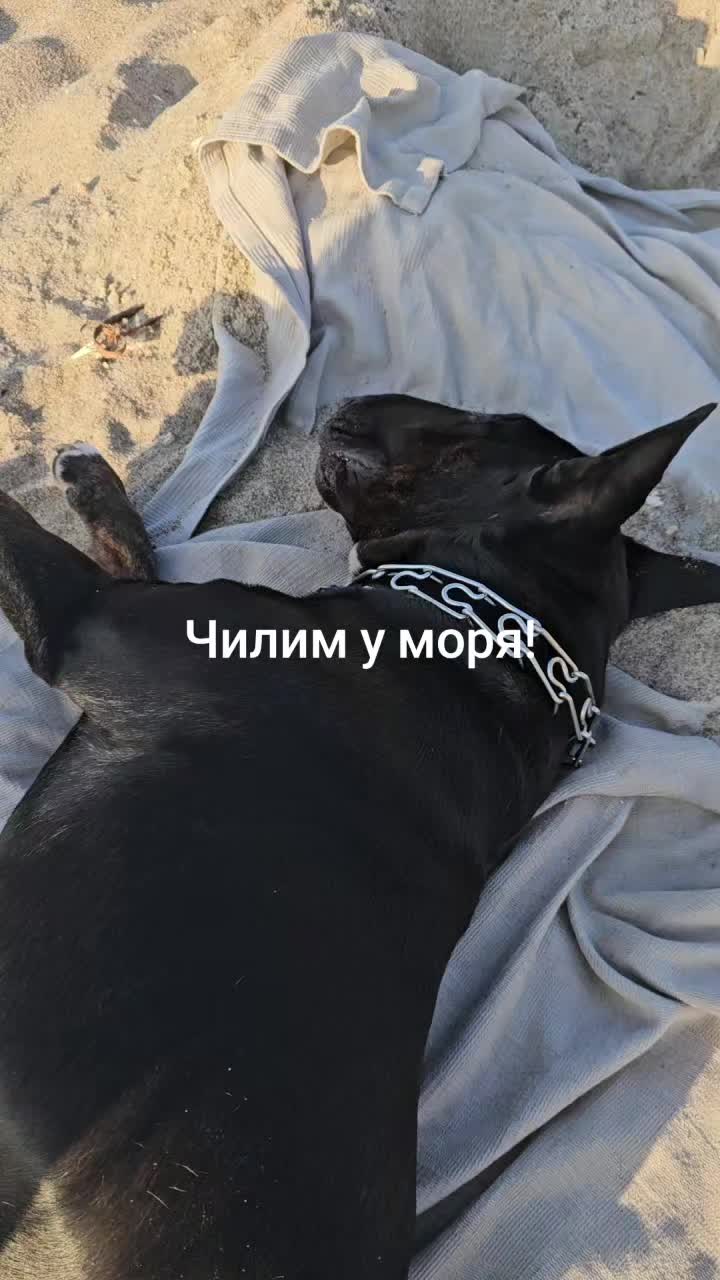 @Irena Turbanova